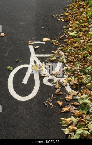Foglie di autunno coprire parzialmente verniciato bianco simbolo bici su strada asfaltata, segnando il percorso della pista ciclabile sul fiume Ouse sentiero, York, England, Regno Unito - close-up Foto Stock