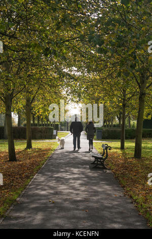 In una soleggiata giornata autunnale, un paio sono a piedi un cane su un viale alberato percorso in bellissima e tranquilla, comunali Rowntree Memorial Park, York, Inghilterra, Regno Unito. Foto Stock