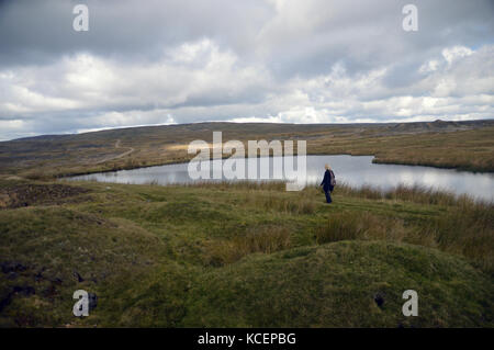 Lone donna escursionista a piedi passato coalgrovebeck serbatoio alta sul grassington moor, wharfedale, Yorkshire Dales National Park, Inghilterra, Regno Unito. Foto Stock