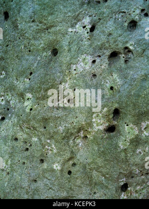 Texture di superficie di una delle pietre della facciata sud del passaggio di entrata per le camere funerarie a Wayland's Smithy Neolitico Long Barrow, Oxfordshire Foto Stock