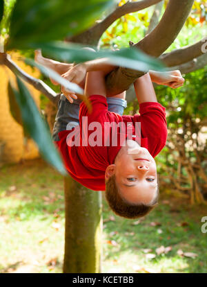 Ragazzo appeso dal ramo di un albero in un giardino estivo Foto Stock