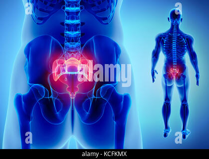 3d illustrazione della regione sacrale - parte di scheletro umano. Foto Stock