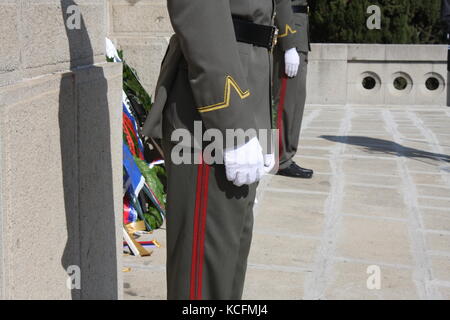 Un soldato in piedi accanto alla tomba del milite ignoto. giorno memoriale della nozione Foto Stock