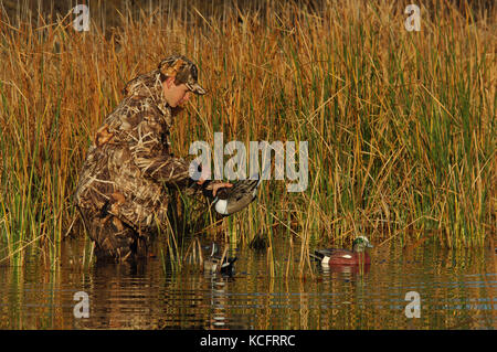 Un cacciatore di anatre in camuffamento espone le sue battute di caccia decoy in South Texas marsh Foto Stock