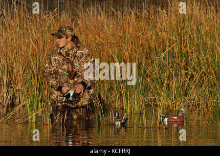 Un cacciatore di anatre in camuffamento espone le sue battute di caccia decoy in South Texas marsh Foto Stock