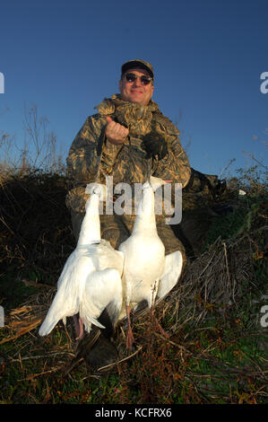 Goose hunter caccia le oche delle nevi su un campo di riso prelievo vicino a Harwood Texas Foto Stock