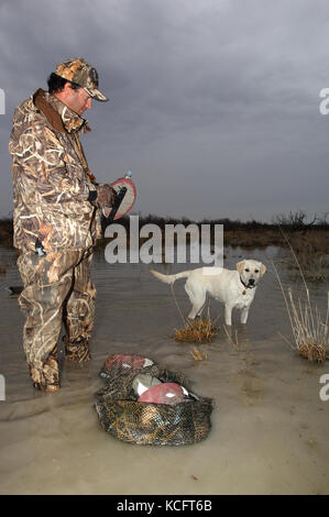 Un cacciatore di anatre in camuffamento espone le sue battute di caccia decoy in South Texas marsh Foto Stock