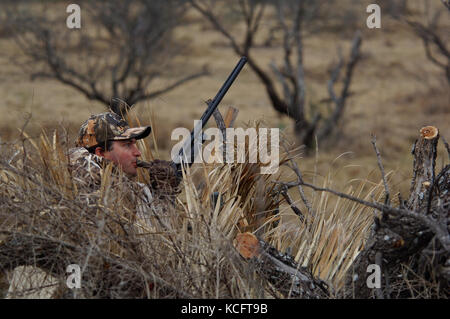 Un cacciatore di anatre in camuffamento anatre chiamate da una palude nel sud del Texas Foto Stock