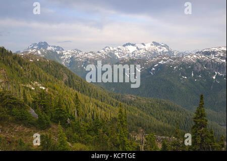 Strathcona Provincial Park, l'isola di Vancouver, BC, Canada Foto Stock