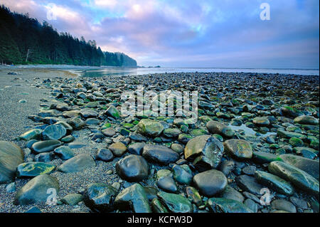 Sombrio spiaggia lungo il Juan de Fuca Trail, Isola di Vancouver, BC, Canada Foto Stock