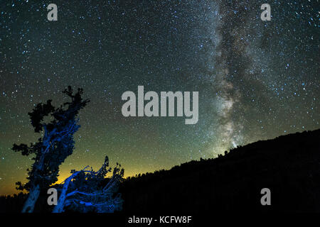 Via Lattea, Lassen National Park, California, Stati Uniti d'America Foto Stock