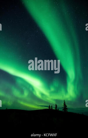 Aurora Boreale, Dawson City, Yukon, Canada Foto Stock