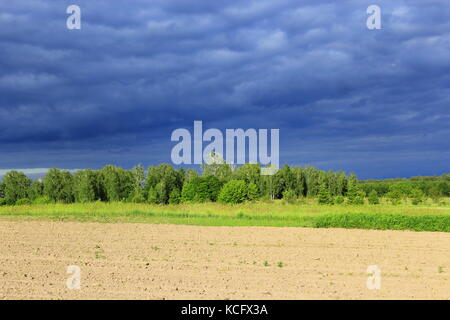 Paesaggio con thundercloud scure nuvole sotto la foresta e la terra Foto Stock