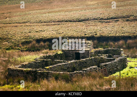 Un ovile e shepards hut su birkdale comune, in alto sulla North Yorkshire Moors, Inghilterra. Foto Stock