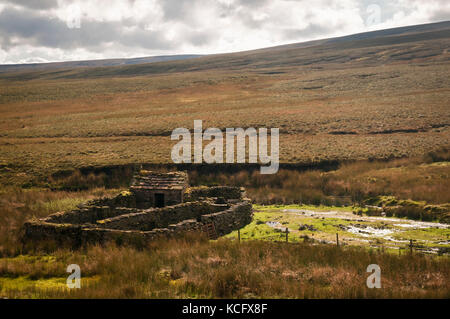 Un ovile e shepards hut su birkdale comune, in alto sulla North Yorkshire Moors, Inghilterra. Foto Stock