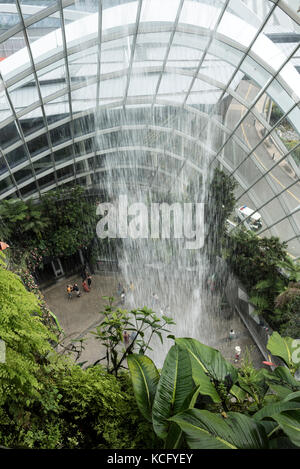 I visitatori si trovano di fronte alla cascata interna più alta del mondo all'interno del Cloud Forest Dome presso i Gardens by the Bay di Singapore. Le cascate de Foto Stock