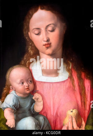 La Madonna e il bambino (Madonna della pera) da Albrecht Dürer (1471-1528), olio su pannello, 1526 Foto Stock