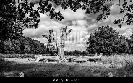 Tronco di albero morto verticale in un prato circondato da alberi in estate nella campagna inglese, Richmond, Regno Unito Foto Stock