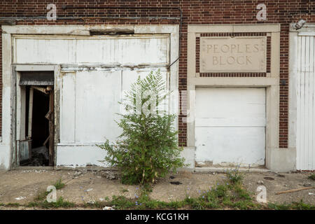 Detroit, Michigan - un albero cresce sul marciapiede sul blocco di popoli, un quartiere invecchiato con molti edifici abbandonati. Foto Stock