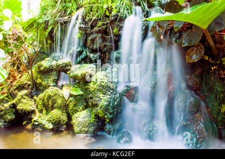 Funzione acqua, Giardini Botanici, Singapore Foto Stock