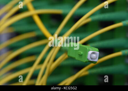 Connettore in fibra ottica close up e distribuzione del pannello del telaio Foto Stock