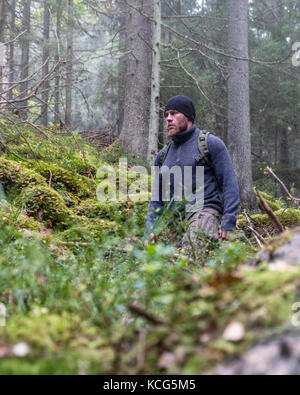 L'uomo trekking nella foresta a mattinata nebbiosa Foto Stock