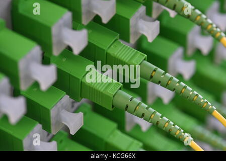 Distribuzione ottica pannelli con cavi in fibra ottica alla rete ottica passiva Foto Stock