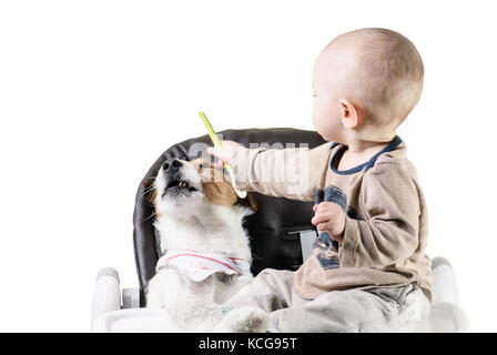 Baby boy alimenta il suo cane pet rifiuta di mangiare Foto Stock