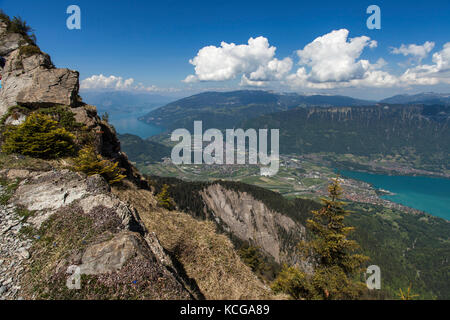Una vista di Interlaken e i laghi circostanti da Schynige Platte con cielo blu, il bianco delle nuvole Foto Stock