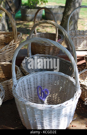 Cestelli pronti per U-Cut visitatori di lavanda - Sequim, WA. Stati Uniti d'America Foto Stock