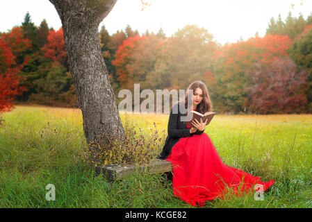 Bella giovane donna, in un elegante vestito rosso e giacca, seduto su una panca in legno, sotto un vecchio albero, la lettura di un libro antico in un colorato autunno Foto Stock