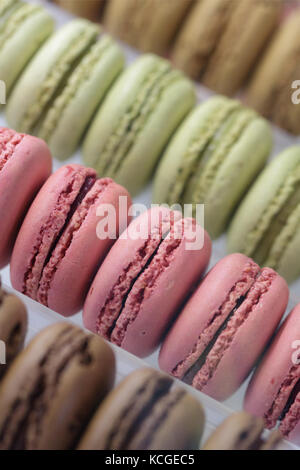 Close-up di colorati macarons nella vetrina di un negozio. Foto Stock