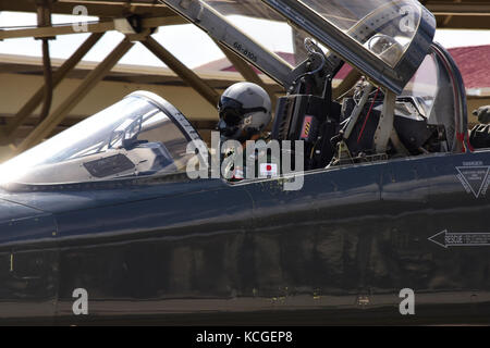 US Air Force T-38C Talon Foto Stock