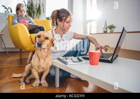 Small Yellow Dog seduto sul pavimento dalla donna che è petting lui a casa Foto Stock