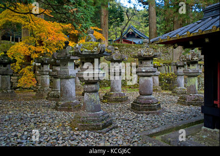 Lanterne di pietra del Santuario Futarasan in Nikko, Giappone Foto Stock