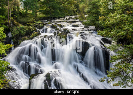 Swallow falls, betws-y-coed, parco nazionale di Snowdonia, conwy, Galles Foto Stock