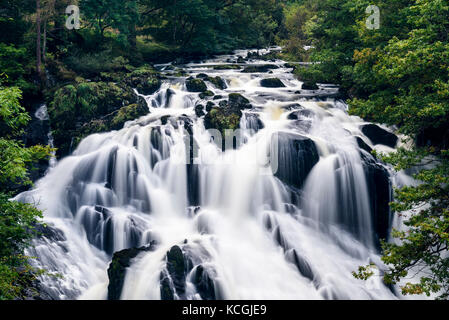 Swallow falls, betws-y-coed, parco nazionale di Snowdonia, conwy, Galles Foto Stock