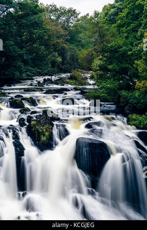 Swallow falls, betws-y-coed, parco nazionale di Snowdonia, conwy, Galles Foto Stock