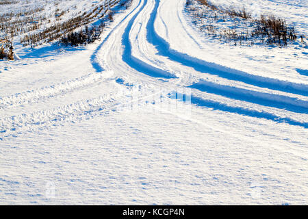 Le tracce delle ruote delle auto sulla neve-coperta di strada. fotografato vicino. ai margini della coltivazione di erba o di tagliare gli stocchi mais. Foto Stock