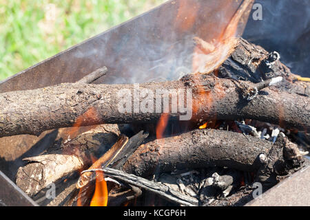 I registri di masterizzazione in barbecue prima di cucinare piatti a base di carne. riposo nel parco. foto close up Foto Stock