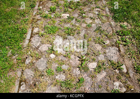 Sfondo di una vecchia strada lastricata di pietre e ciottoli. La strada per il movimento delle persone nel parco. Attraverso le crepe sulla strada e nel mezzo Foto Stock