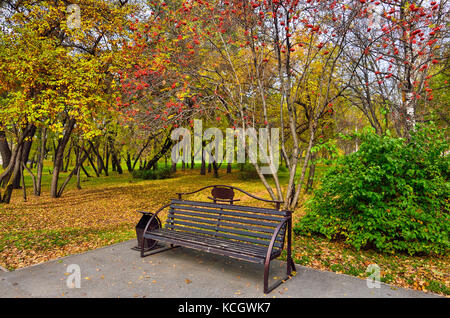 Accogliente angolo del Parco in autunno con il banco sotto rowan rami di alberi con grappoli di bacche rosse Foto Stock