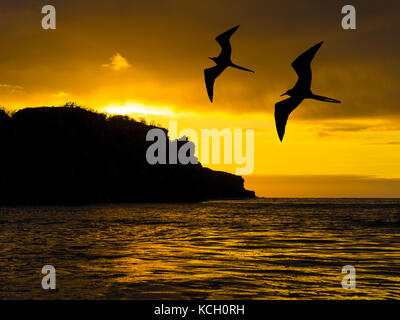 TRAMONTO SULL'ISOLA BARTOLOMÉ - GALAPAGOS, ECUADOR Foto Stock