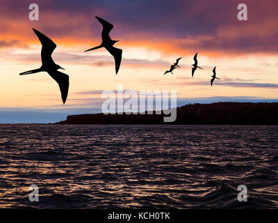 TRAMONTO SULL'ISOLA BARTOLOMÉ - GALAPAGOS, ECUADOR Foto Stock