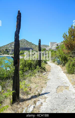 Un vecchio sentiero accanto ad alberi bruciati sulla costa mediterranea in Croazia. Foto Stock