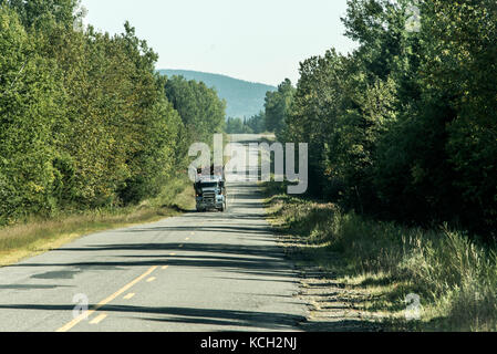 Registrazione grande carrello in movimento su autostrada legno dal campo di raccolta di piante di ontario canada quebec Foto Stock