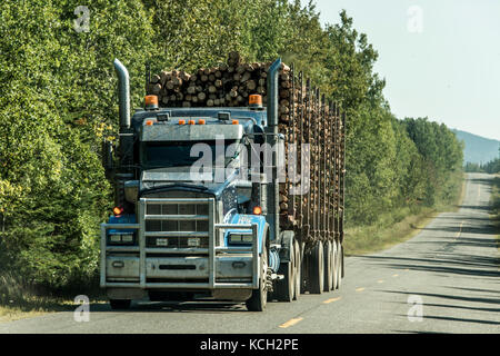 Registrazione grande carrello in movimento su autostrada legno dal campo di raccolta di piante di ontario canada quebec Foto Stock