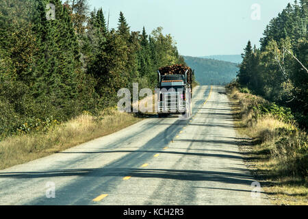 Registrazione grande carrello in movimento su autostrada legno dal campo di raccolta di piante di ontario canada quebec Foto Stock