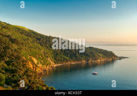 La vista dalla cima delle montagne di buyukada isola, uno della principessa isole (adalar), il Mar di Marmara, Istanbul, Turchia, con il verde dei boschi, mare calmo un Foto Stock