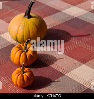 Tre zucche arancione disposti su una tabella con un plaid tovaglia Foto Stock